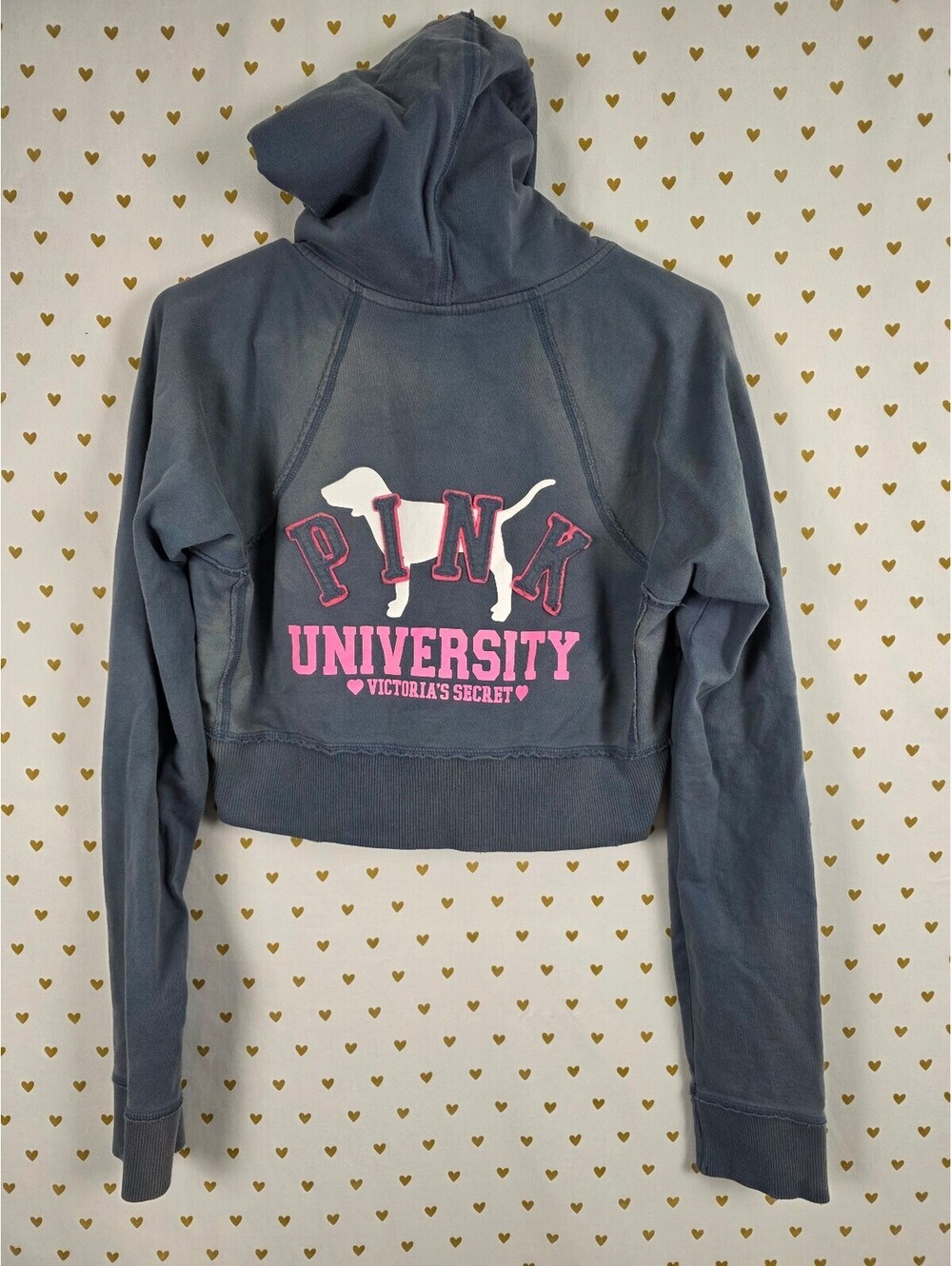 Vintage 2006 Victoria's Secret PINK University Dog Zip Hoodie Gray Blue L Crop